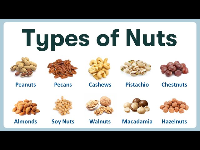 Types of Nuts: The 10 Most Common Varieties