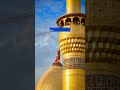 دم مست قلندر مست مست Hazat Ali A S Islamic Post Short Viral دم مست قلندر مست مست Hazat Ali A S Islamic Post Short Viral
