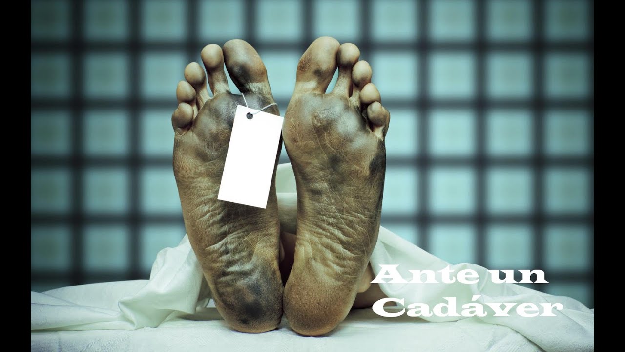 ANTE UN CADÁVER (Manuel Acuña) POESÍA YouTube ANTE UN CADÁVER (Manuel Acuña) POESÍA YouTube