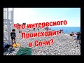 Кому интересно про Сочи❓Прямой Эфир 🏖