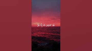 #quran #اكسبلور #لايك #حالات #راحة_نفسية #قرآن #قران #كروما #ماهر_المعيقلي #تلاوة_خاشعة #حالات_واتس