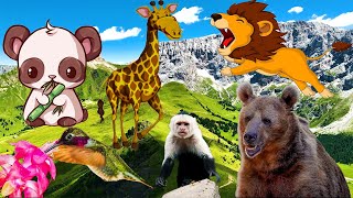 Beautiful Wild Kingdom Real Sounds &amp; Relaxing Nature | Part 25