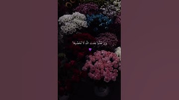 آيات من سورة ابراهيم 💜 #اكسبلور #المصحف #لايك #الرحمن #راحة_نفسية