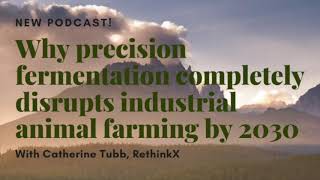 Catherine Tubb on why precision fermentation completely disrupts industrial animal farming by 2030