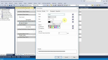 Accounting Management System Part 131 Report Form in C#  C Sharp