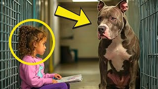 Nobody Could Touch This Very Aggressive Pitbull .... Until a Little Girl Changed Everything…