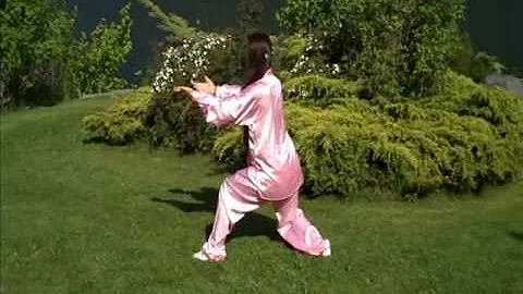 Yang Tai Chi 24 Form Back View | Taiji 24 Form Pos...