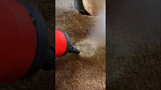 How To Remove Coffee From Carpet!! #automotiveDetailing #cardetailing #detailing