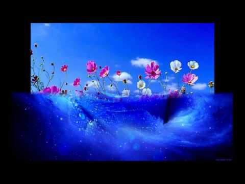 Liviu Guta -stau singur si te astept