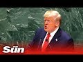 President Donald Trump's full UN address