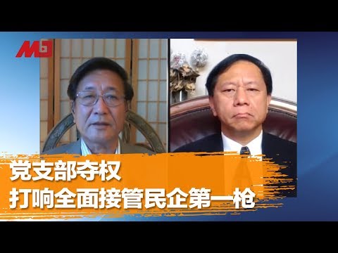 程晓农 谢田：党支部夺权，打响全面接管民企第一枪