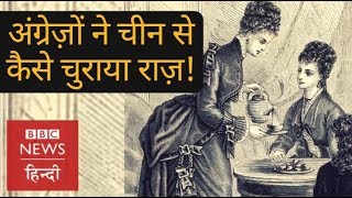 China's secret which was stolen by Britishers (BBC Hindi)