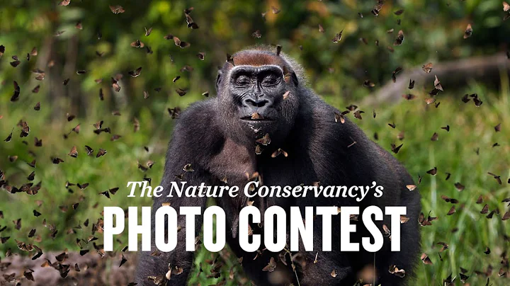 2022 Photo Contest - DayDayNews