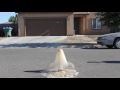 Diet Soda+Mentos