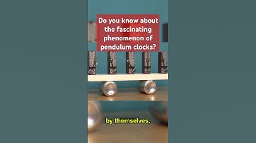 Do you know about the fascinating phenomenon of pendulum clocks?