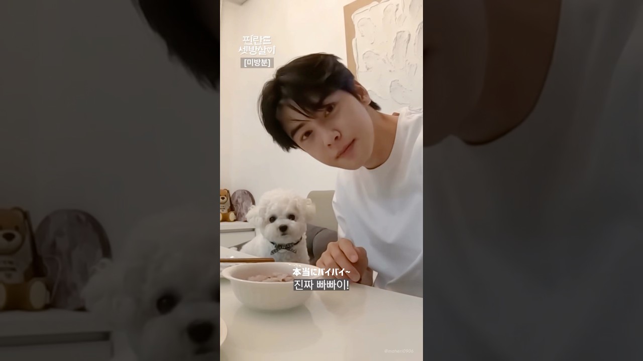 ドンミニとドンドンイの一日V-LOG #チャウヌ #차은우 #chaeunwoo 