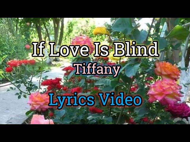 If Love Is Blind - Tiffany (Lirik Video) class=