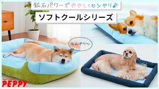 愛犬の暑さ対策にはコレ！ふかふか×ひんやりベッドのご紹介【ペピイチャンネル】