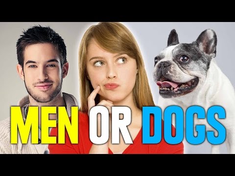 Do Women Like Men Or Dogs Better?