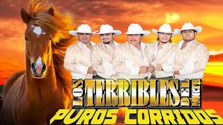 💥 Los Tigres del Norte Éxitos Legendarios | Las Más Perronas de Todos los Tiempos