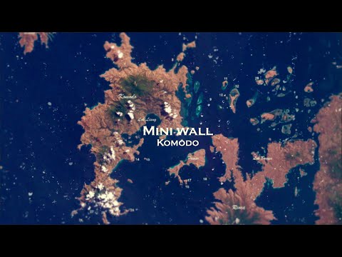 Mini Wall By Steve Evans
