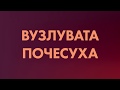 Тема 2. Ураження шкіри та слизових оболонок при ВІЛ-інфекції