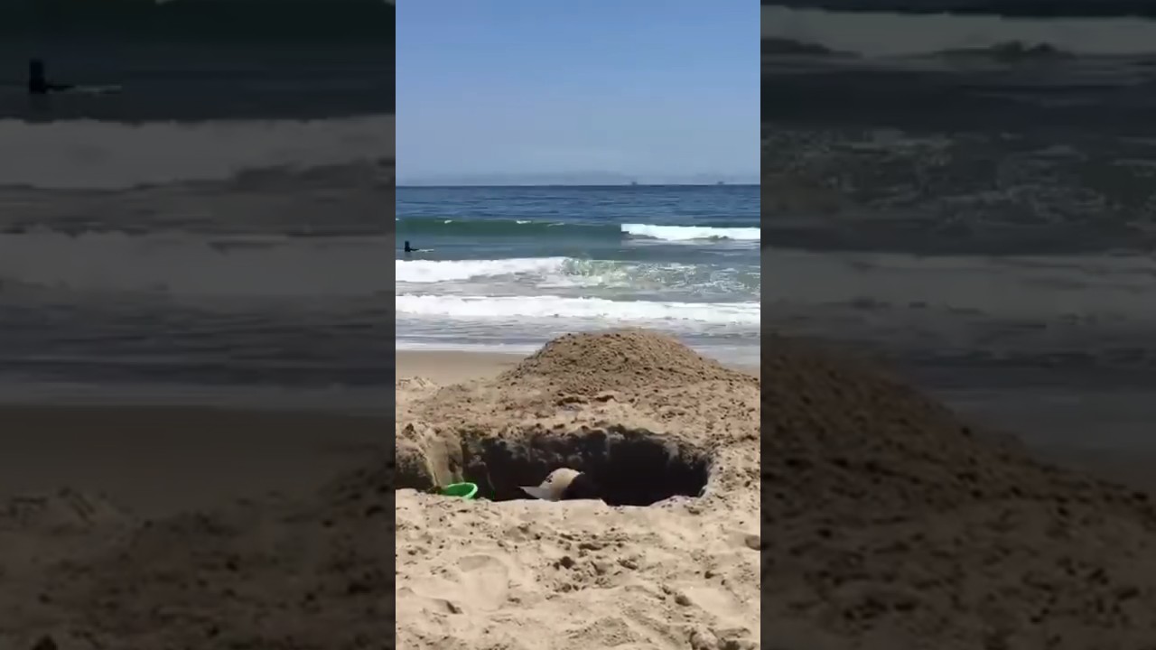 How to piss off lifeguards at the beach, deepest beach hole ever !