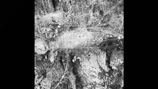 Offizier Rinzer - Not Yours Distørshn Shape Remix K015