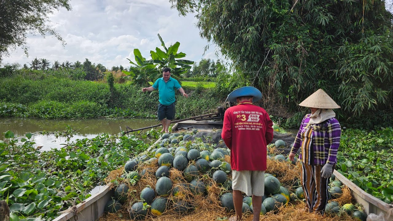 Cách vừa bán mùa Tết