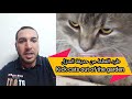 طرق سحرية وبدون اي تكلفة لطرد القطط من الحديقة المنزلية  