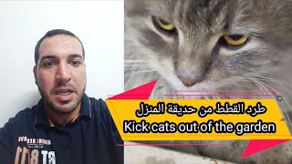 طرق سحرية وبدون اي تكلفة لطرد القطط من الحديقة المنزلية cat kicks