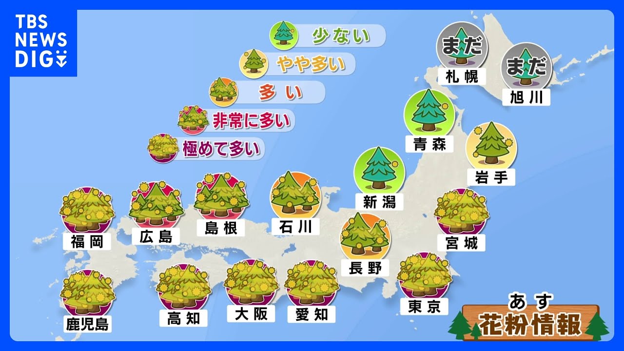 あす5日の花粉は？広く晴れて花粉「極めて多い」マスクなど花粉対策を 東日本・北日本中心に風が強い予報｜TBS NEWS DIG