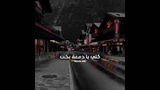 اجمل حالات واتس اب اغنية شلون سكت عيني لو صاحت اريد