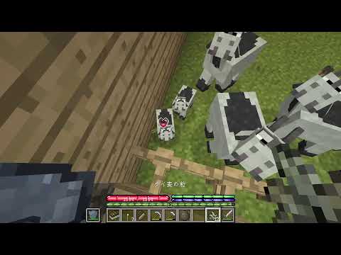 【マイクラ】TerraFirmaCraft　石器時代からサバイバル #10【MOD】
