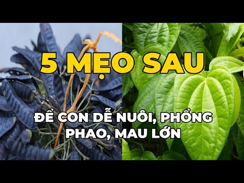 5 Mẹo sau để con dễ nuôi, phổng pháo, mau lớn...,Khi ẵm từ viện về - Kênh Hướng Dẫn