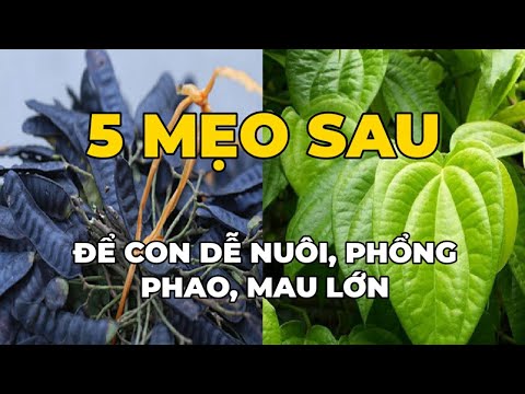 Video: Làm Thế Nào để Theo Kịp Mọi Thứ Khi Có Trẻ Nhỏ Trong Nhà