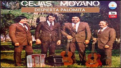 CEJAS - MOYANO     Del album "LAS VOCES QUE LE CANTAN AL CHACO"     DISCOS EN EL RECUERDO