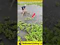 What fish did he catch in the drizzling rain? 🐟#viralvideo #facts #fishinggear #fishinglife #fish