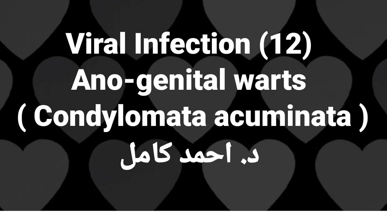 a condyloma genitális patológiája