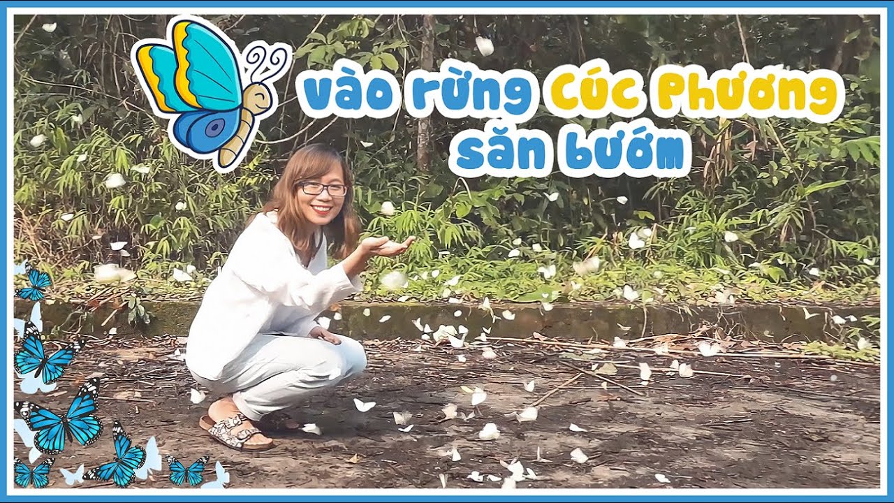 giá vé vào rừng cúc phương Update Đi săn bướm tại vườn quốc gia Cúc Phuơng | Ninh Bình ơi! - Toy travel