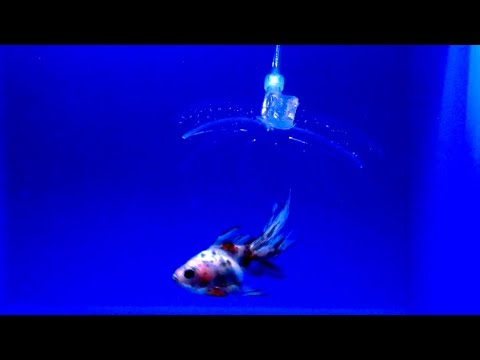 A soft robotic fish that's controlled with a Super Nintendo controller