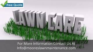 This Simple 7-Step Lawn Program Will Make Your Yard Look 10x Better