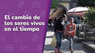6. El cambio de los seres vivos en el tiempo • Saberes y pensamiento científico • 1er grado