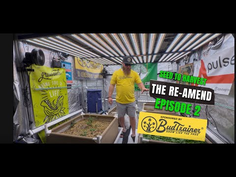Re-Amending Living Soil (Episode 2)