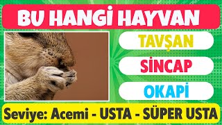 HAYVAN BULMACASI #2: Ne Kadar Hayvan Bilginisin | Acemi, Usta, Süper USTA | Eğlenceli Hayvan Bulmaca screenshot 2