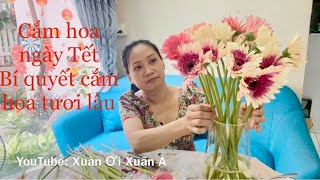 Hoa đồng tiền, cắm hoa đơn giản nhưng rất đẹp, bí quyết giữ hoa tươi lâu cả tuần không bị hôi thối