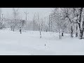 Heavy snowfall starts in kashmir |Doodpathri|Budgam