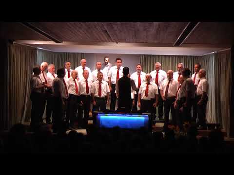 Männerchor Krenkingen  "Weit weit weg" Jubiläumskonzert 2016