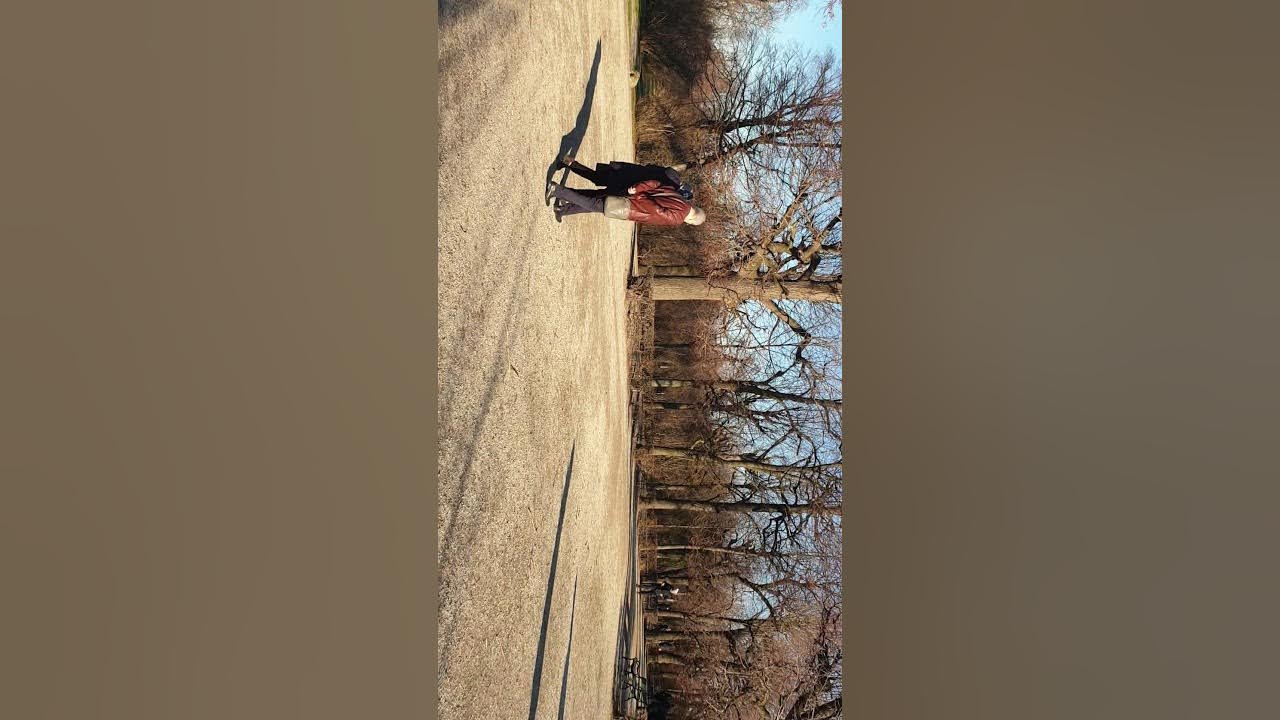 Vienna, Austria maze and labyrinth Schronbrunn YouTube