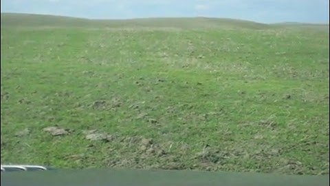 Gopher shooting Southern Saskatchewan 2009